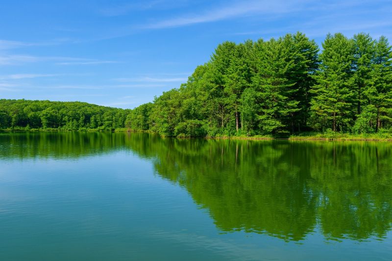 Best Foundation Repair pros in Waupaca, WI